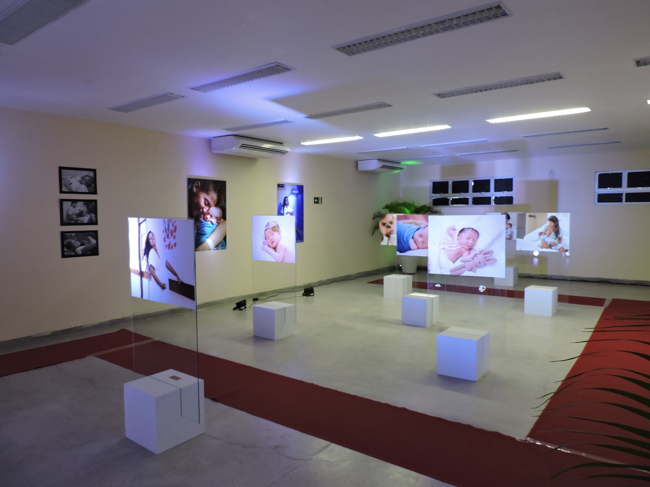 Exposição fotográfica  ‘A luz do Nascer’